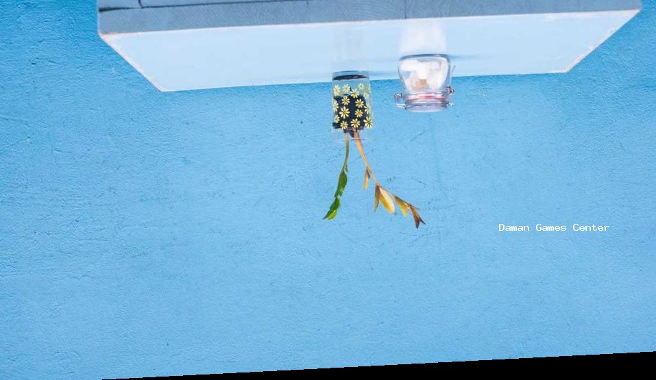 Ashes Cricket - Authentic Match Experience Ashes Cricket gameplay showing intense match action